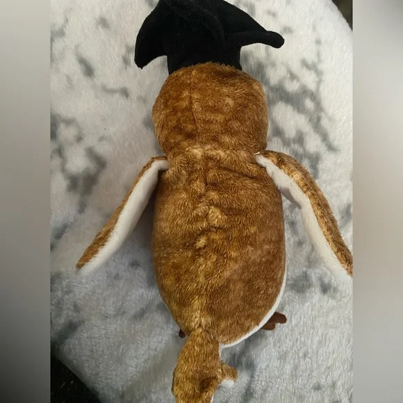 Wisest owl - Picture 3 of 4